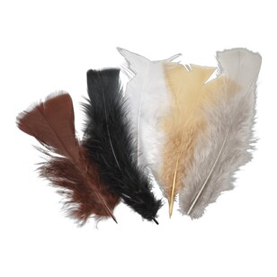 Crafters Choice Mixed Turkey Feathers Animal 10 g