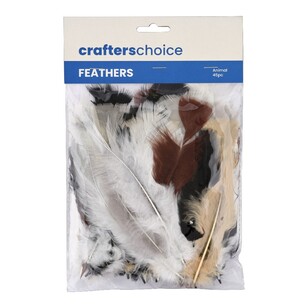 Crafters Choice Mixed Turkey Feathers Animal 10 g