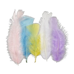 Crafters Choice Mixed Turkey Feathers Pastels 10 g