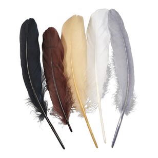 Crafters Choice Mixed Turkey Quills Animal