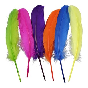 Crafters Choice Mixed Turkey Quills Fluoro