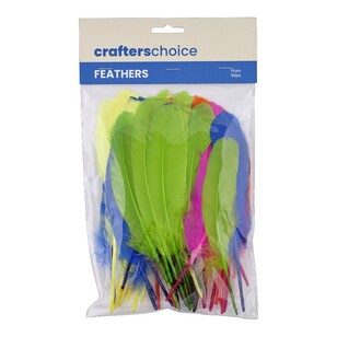 Crafters Choice Mixed Turkey Quills Fluoro