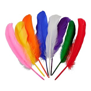 Crafters Choice Mixed Turkey Quills Multicoloured