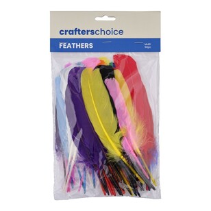 Crafters Choice Mixed Turkey Quills Multicoloured