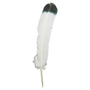 Imitation Eagle Quills Ivory & Indigo