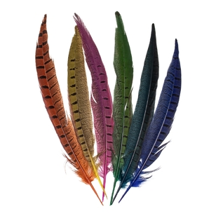 Shamrock Craft Ringneck Tail Feathers Multicoloured