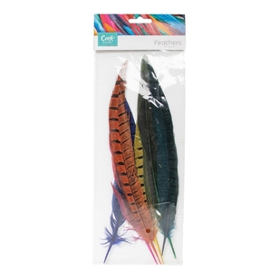 Shamrock Craft Ringneck Tail Feathers Multicoloured