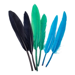 Mini Goose Feather Quills Cool