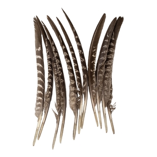 Natural Pheasant Quills Natural