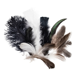 Mixed Feather Pack Black & White 7 g