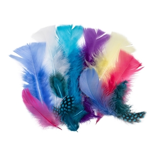 Feather Value Pack Gelati 25 g