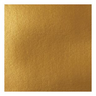 Liquitex Professional Hard Body Acrylic Paint Series 2A Iridescent Rich Gold 59 mL