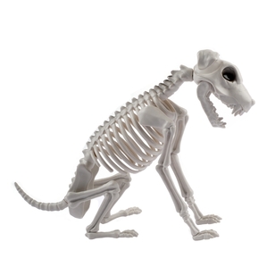 Spooky Hollow Skeleton Dog Sitting Natural