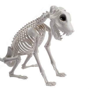 Spooky Hollow Skeleton Dog Sitting Natural