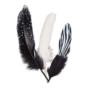 Craftsmart Negorie Goose Zebra Mix Feather 20 Pack Zebra Mix