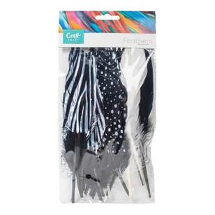 Craftsmart Negorie Goose Zebra Mix Feather 20 Pack Zebra Mix