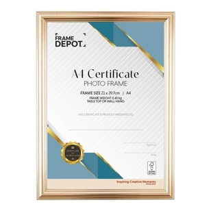 Frame Depot A4 Certificate Frame Champagne A4