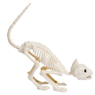 Spooky Hollow Cat Skeleton White