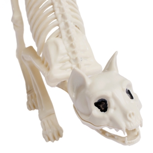 Spooky Hollow Cat Skeleton White