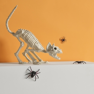 Spooky Hollow Cat Skeleton White