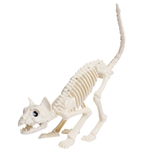 Spooky Hollow Cat Skeleton White