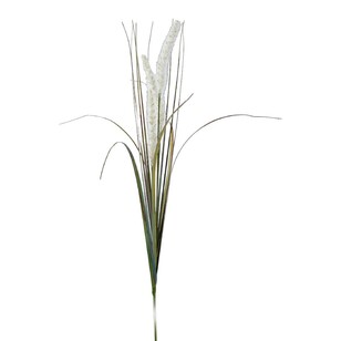 84 cm Foxtail Grass Spray Cream 84 cm