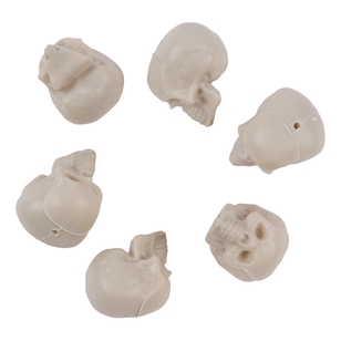 Spooky Hollow Mini Skulls 6 Pack White