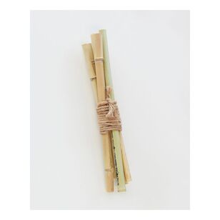 Bamboo Bundle Natural 32 cm