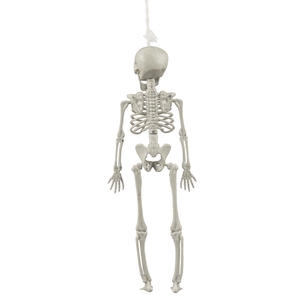 Spooky Hollow Small Hanging Skeleton 40 cm