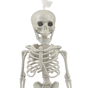 Spooky Hollow Small Hanging Skeleton 40 cm