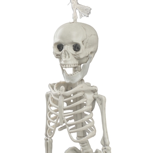 Spooky Hollow Small Hanging Skeleton 40 cm