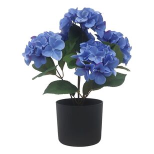 41 cm Potted Hydrangea Blue 48 cm