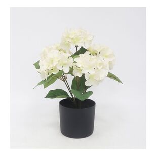 41 cm Potted Hydrangea White 48 cm