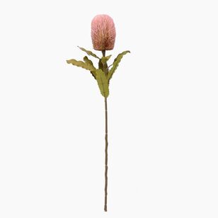 Banksia 64 cm Stem Pink 64 cm