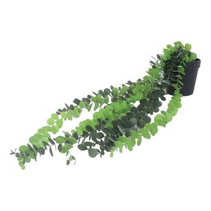 Eucalyptus In Plastic Pot  Green 71 cm