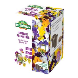 DT Brown Edible Flowers Grow Kit Multicoloured