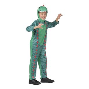Spartys Kids Dinosaur Costume Multicoloured