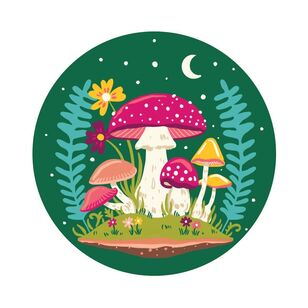 Craftsmart Emma Whitelaw Paint By Numbers Mushrooms Multicoloured
