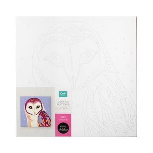 Craftsmart Emma Whitelaw Paint By Numbers Owl Multicoloured