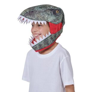 Spartys Kids Dinosaur Hat Multicoloured One Size