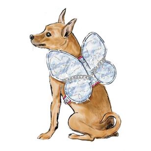 Simplicity S9875 Dog Harness with Wings Pattern by Carla Reiss Design White S - L