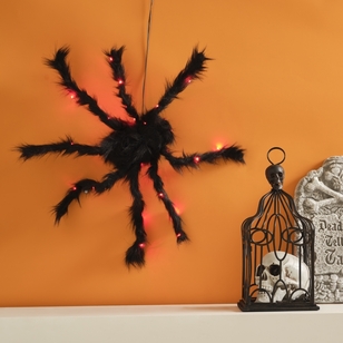 Spooky Hollow Light Up Spider Decoration Multicoloured