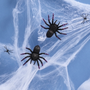 Spooky Hollow Glittery Spiders 2-Pack Multicoloured