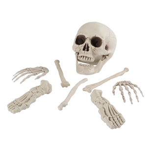 Spooky Hollow Bag Of Bones Decoration Multicoloured