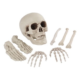 Spooky Hollow Bag Of Bones Decoration Multicoloured