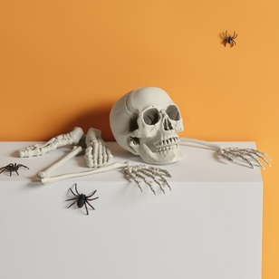 Spooky Hollow Bag Of Bones Decoration Multicoloured