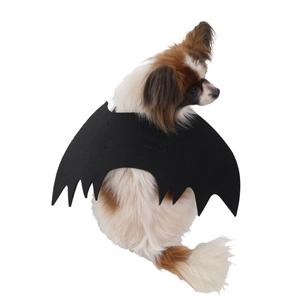 Spooky Hollow Bat Wings Pet Costume  Multicoloured One Size