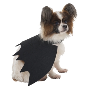 Spooky Hollow Bat Wings Pet Costume  Multicoloured One Size