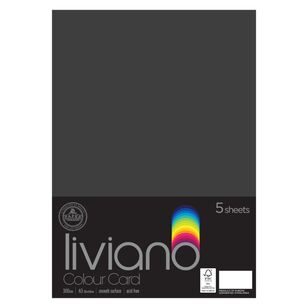 Liviano 300 GSM Card A3 5 Pack Black
