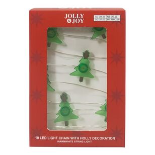 Jolly & Joy LED Holly Chain Christmas String Lights Multicoloured